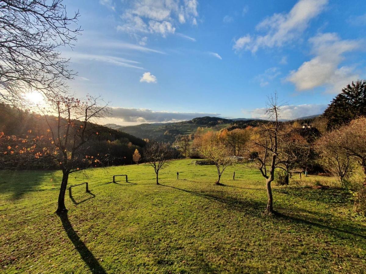 Utulny Apartman V Srdci Krkonos Se Saunou Jablonec nad Jizerou Buitenkant foto
