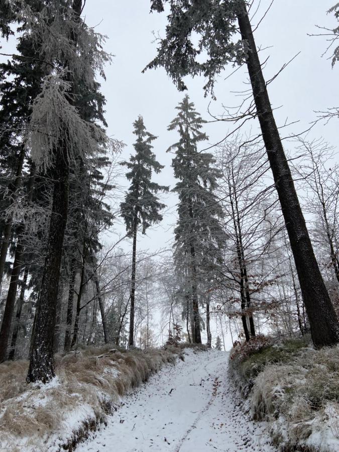 Utulny Apartman V Srdci Krkonos Se Saunou Jablonec nad Jizerou Buitenkant foto