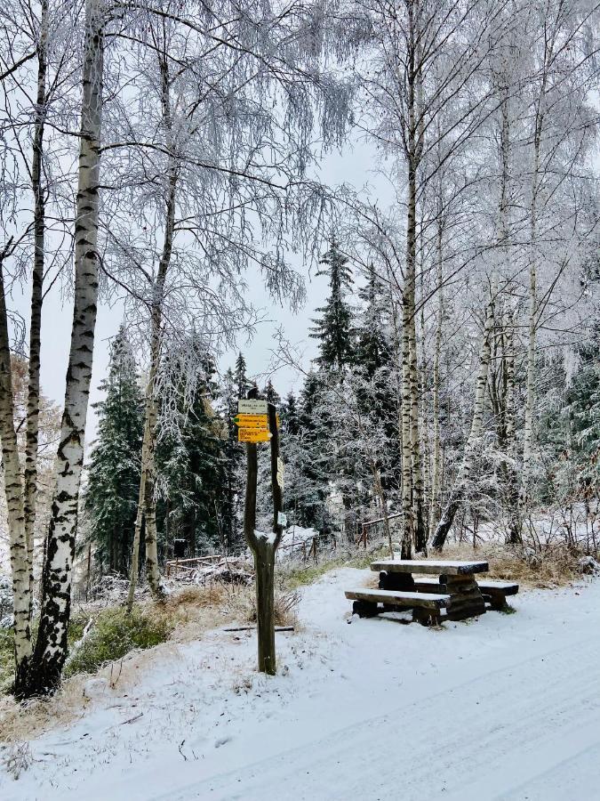 Utulny Apartman V Srdci Krkonos Se Saunou Jablonec nad Jizerou Buitenkant foto